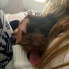 isa_wolf